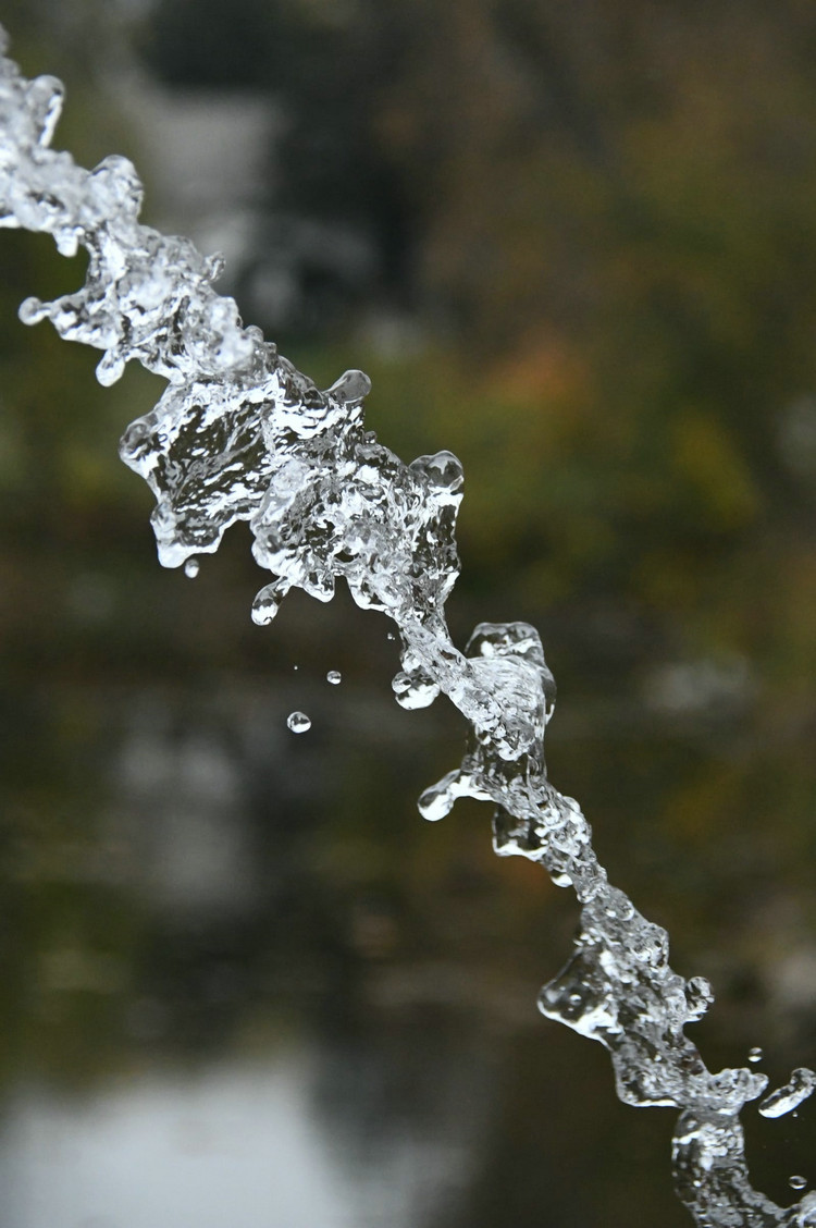 氨氮检测