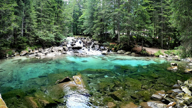 氨氮在线自动监测仪